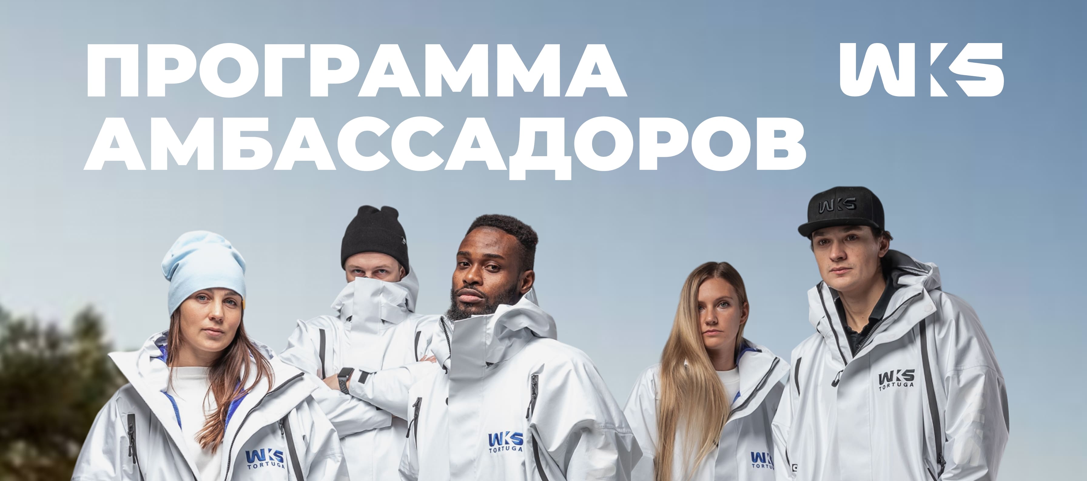 Программа амбассадоров