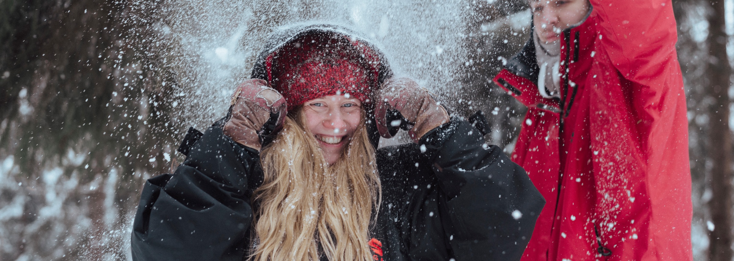 Бафф в подарок к каждой Тортуге