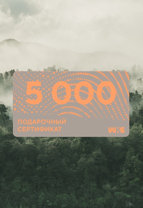 Сертификат Электронный  5000 U (Бесцветный / Бесцветный)